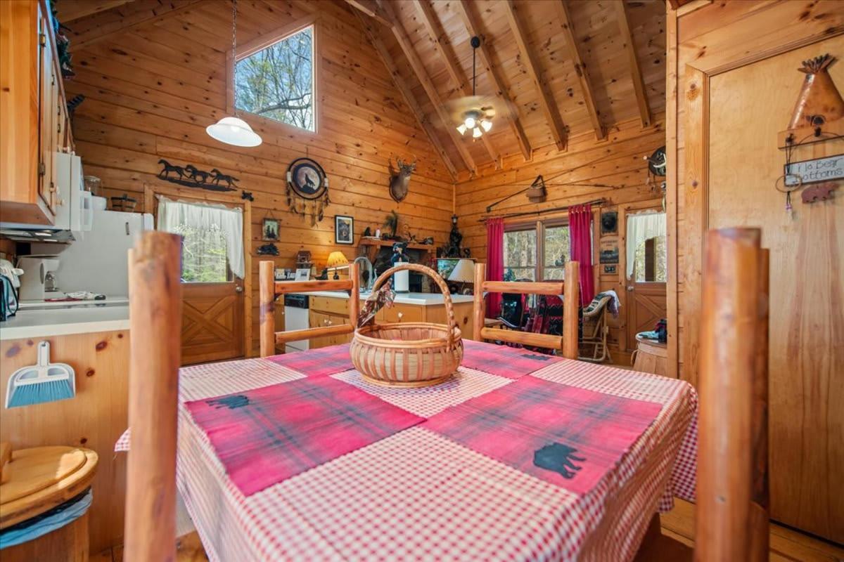 Cozy Cabin Beside Briar Creek, Fire Pit, Wifi Villa Ellijay Bagian luar foto