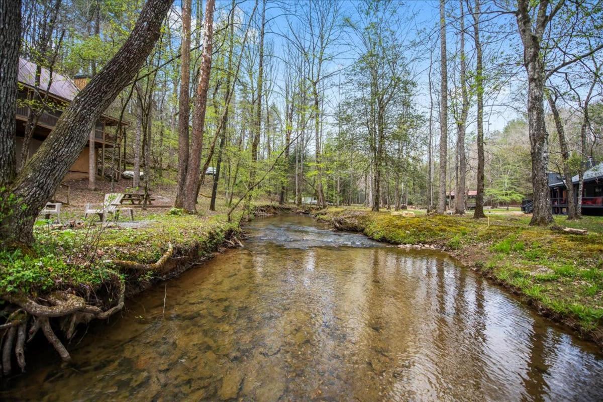 Cozy Cabin Beside Briar Creek, Fire Pit, Wifi Villa Ellijay Bagian luar foto