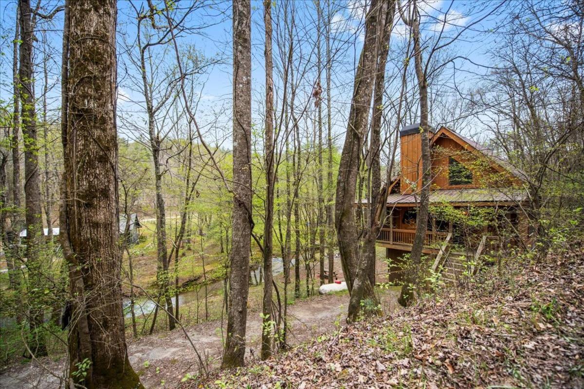 Cozy Cabin Beside Briar Creek, Fire Pit, Wifi Villa Ellijay Bagian luar foto
